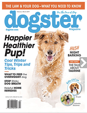 Dogster Magazine Feb-Mar 2019 Cover